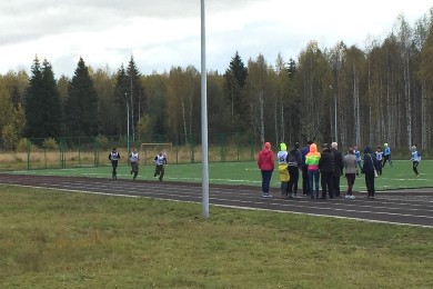 �����������