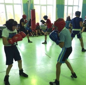 �����������