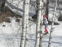 �����������