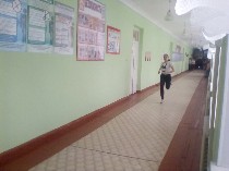 �����������